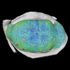 <a href="papers_abstracts/abstracts/116.html">3D Reconstruction and Visualization of the Developing Drosophila Wing Imaginal Disc at Cellular Resolution</a>