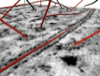 <a href="papers_abstracts/abstracts/132.html">Fast Tracing of Microtubule Centerlines in Electron Tomograms</a>
