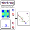 <a href="papers_abstracts/papers/118.html">MDMap : A System for Data-driven Layout and Exploration of Molecular Dynamics Simulations</a>
