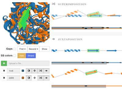 Comparative Visualization of Protein Secondary Structures