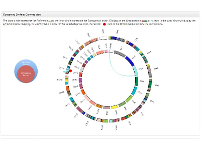 The JAX Synteny Browser for Mouse-Human Comparative Genomics