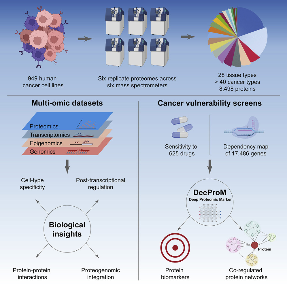 Graphical Abstract