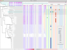 Gingr: Interactive visualization of large-scale phylogenies and multi-alignments.