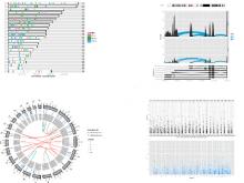Extending The Grammar of Graphics for Biological Data Visualization