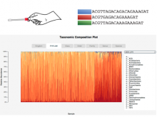 Visualizing Microbial Ecology Data for Public and Scientific Audiences