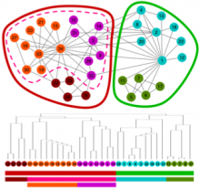 NetGestalt: integrating multidimensional omics data over biological networks